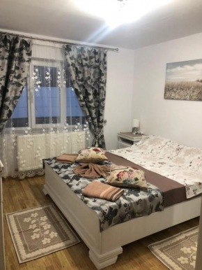 Apartament în regim hotelier familie